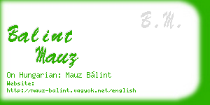 balint mauz business card